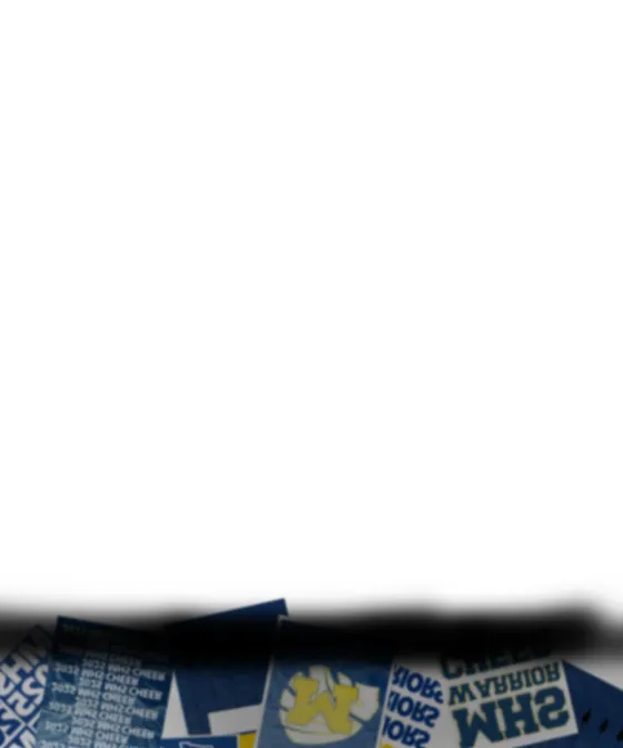 individual senior cheer banner Meridian High School Meridian Idaho, 35 by 42 inches