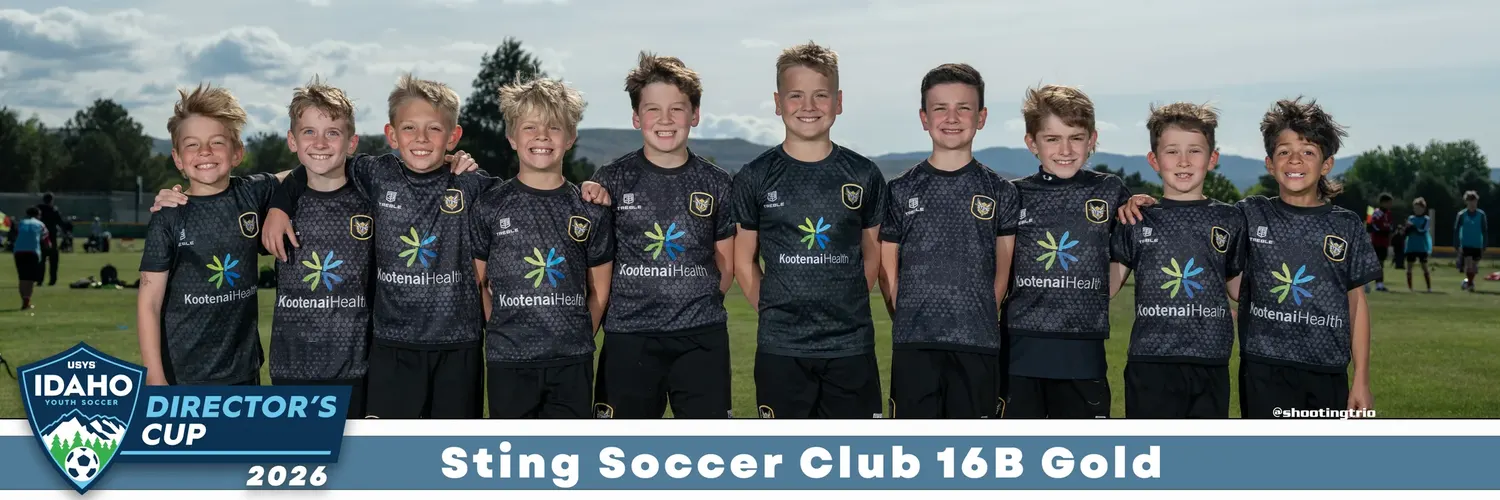 Sting Soccer Club 16B Gold 8x24 panoramic team print from the IYSA Director's Cup